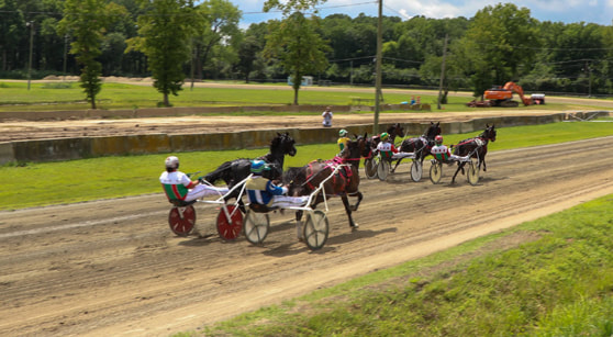 The Great Pocomoke Fair Awarded Marketing Grant to Promote Harness Racing